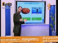 عربی_تمییز_آزاده_موسسه ونوس