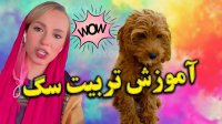 تربیت سگ فقط با پریسا پور مشکی