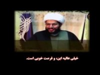 ارتباط روباه پیر و شیعه انگلیسی چیست؟