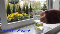 نوشیدنی چربی سوز شگفت انگیز