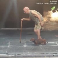 همراهی سگ با صاحب پیر خود