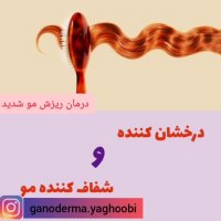 پک رویش مجدد مو بدون نیاز به کاشت!