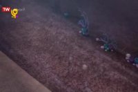 کارتون حبابی ها - موبی پلیس می شود