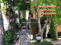 1350متر باغ ویلا در محمدشهر