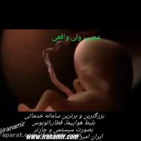 نتیجه تحقیقات دانشمندان آمریکایی در مورد آیات 12-13-14 سوره مومنون