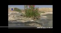چشمه قیر در رامهرمز 