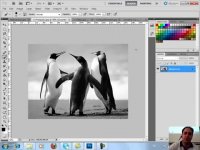 ‫11- سعید طوفانی - آموزش فتوشاپ معمولی - کنتراست - Adobe Photoshop Training‬ - YouTube