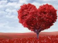 احمد شاملو و دکلمه ای از شعر مولانا