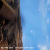 روغن زدن روی اثر نقاشی