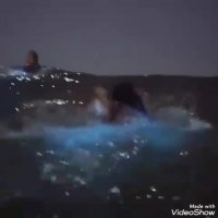 جلوه های آفرینش طبیعت