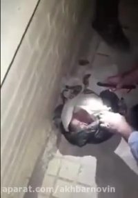 رها كردن نوزاد سه روزه در خیابان❗️