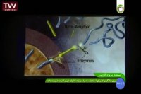 مستند پروژه آلزایمر - 5-2016-07-26 