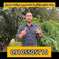 خطر اضافه وزن و کبد چرب/کبدچرب قاتل خاموش