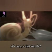 9 ماه رشد نوزاد در رحم مادر