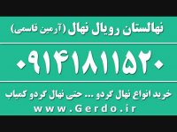 خرید نهال گردو یکساله دو ساله در نهالستان گردو 09141811520
