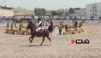 شروع جشنواره زیبایی اسب اصیل فلات کشور