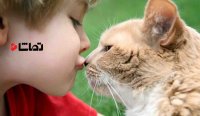 گربه ها را نبوسیم!