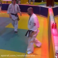 “هیكى مواشى سوریكومى ناگه”