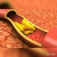 خواص مهم سبوس برنج قهوا ای