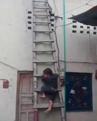 این بچه س یا جانور !؟