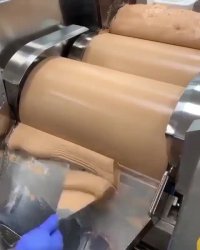 کارخانه تولید کرم پودر