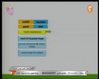 کلاس درس زبان انگلیسی (رایتینگ) پایه دوازدهم - شنبه 2 فروردین