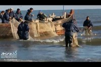 بندر انزلی در چهار فصل