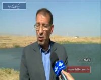 صید ماهی های گرمابی در قصرشیرین