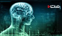 چگونه مغز شما به ابر مغز تا 2030 تبدیل خواهد شد؟