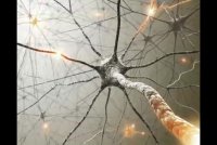 معجزه روغن زدن به کف پا - درمان ۲۷ مرض واختلالات بدن با چرب کردن کف پا