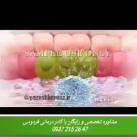 چگونگی گسترش ویروس زگیل تناسلی!! درمان جدید زگیل تناسلی hpv