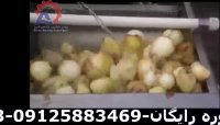 دستگاه پوست گیر پیاز و سیب زمینی فرچه ای