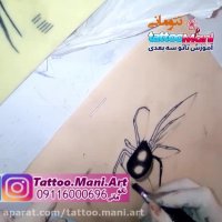 تتو پر و عنکبوت روی بازو