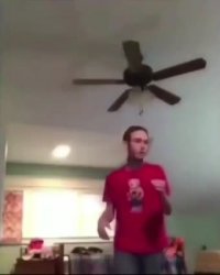 هوبارت یشمتیمیشس