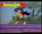 موش و گربه به لهجه کردی