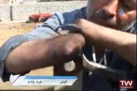 مستند آن مرد ایستاده است