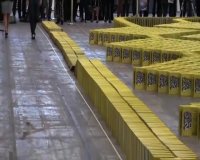 رکورد دومینوی کتاب در گینتس!