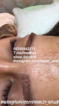 مرکز خرید حلزون در تهران