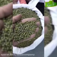 فروش ماش به صورت فله