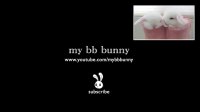 Cute Baby Bunny Washing Her Face