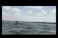 لحظه ی سقوط عجیب هواپیما در ساحل + فیلم