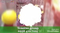 گروه بازسازی ساختمان Tenotas.group در تهران
