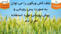 علف کش اختصاصی مزارع گندم و جو زمستانه | Vigon
