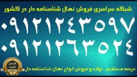 نهال گردو چندلر اصلاح شده پیوندی پاکوتاه دیرگل زودبازده 09121263524