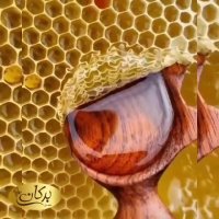 عسل های خام و خالص برکان