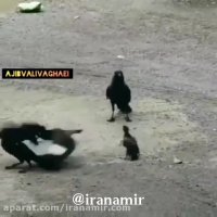 هیچ معلمی همچون طبیعت الهام بخش نیست !