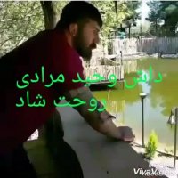 وحید مرادی شرور