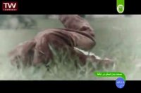 مستند بدن انسان در تنگنا _قدرت مغز-2016-07-19