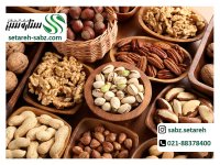 آجیل | مفید ترین خوراکی برای سلامتی