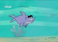 طنز حیات وحش، کوسه ها  قاتلین بالفطره